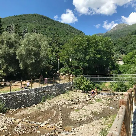 Ulivo 6 Acquaseria